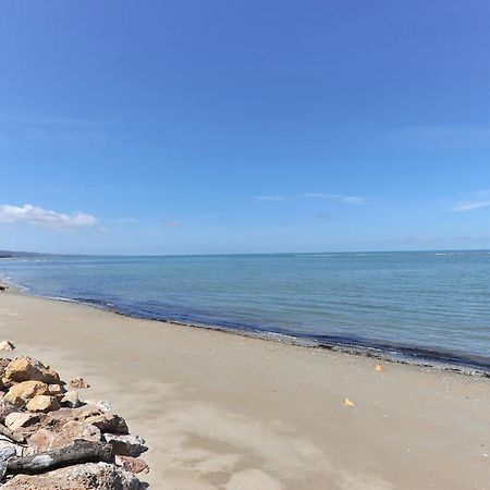Twin Waters Lodge Collingwood Esterno foto