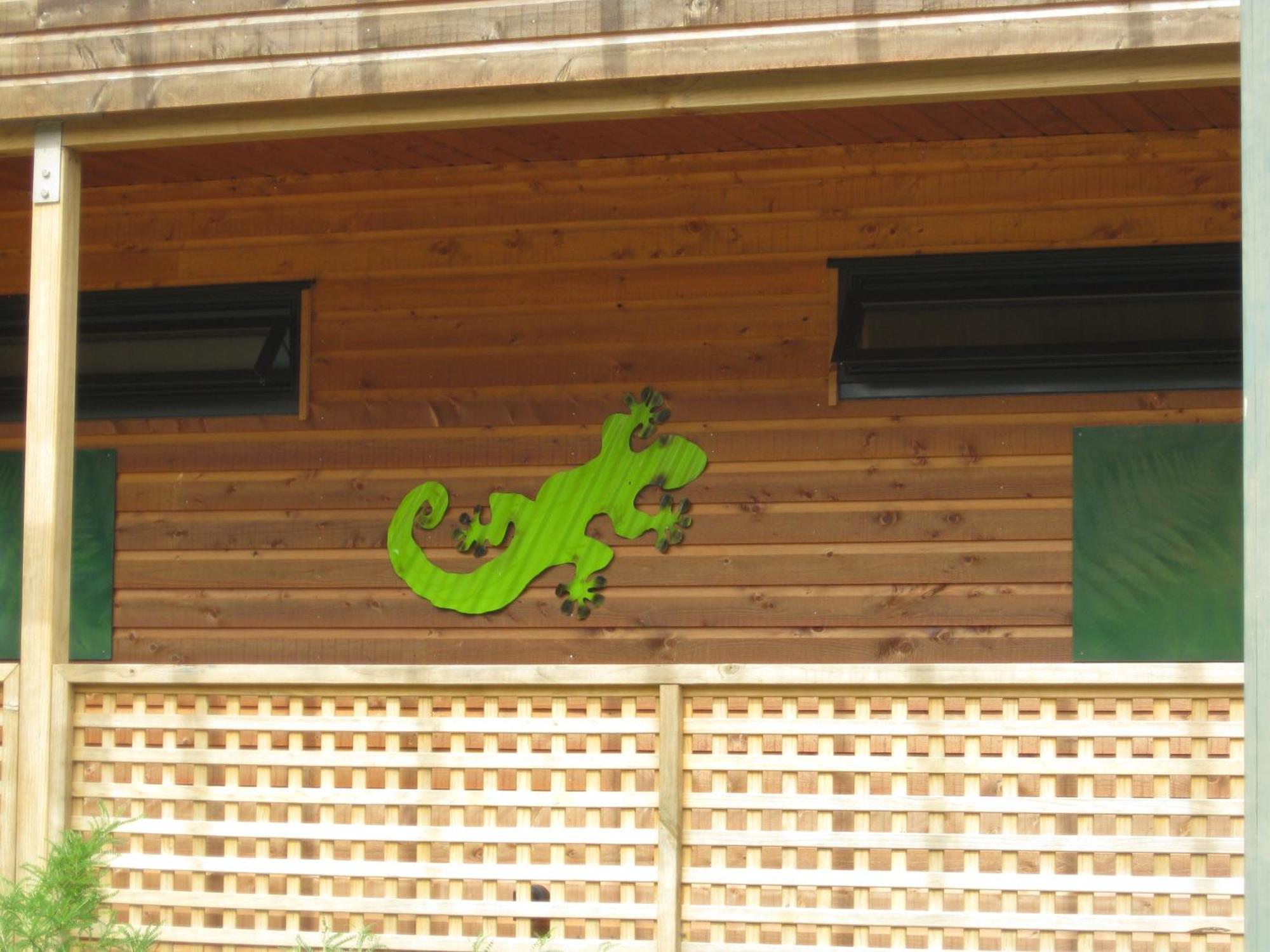 Twin Waters Lodge Collingwood Esterno foto